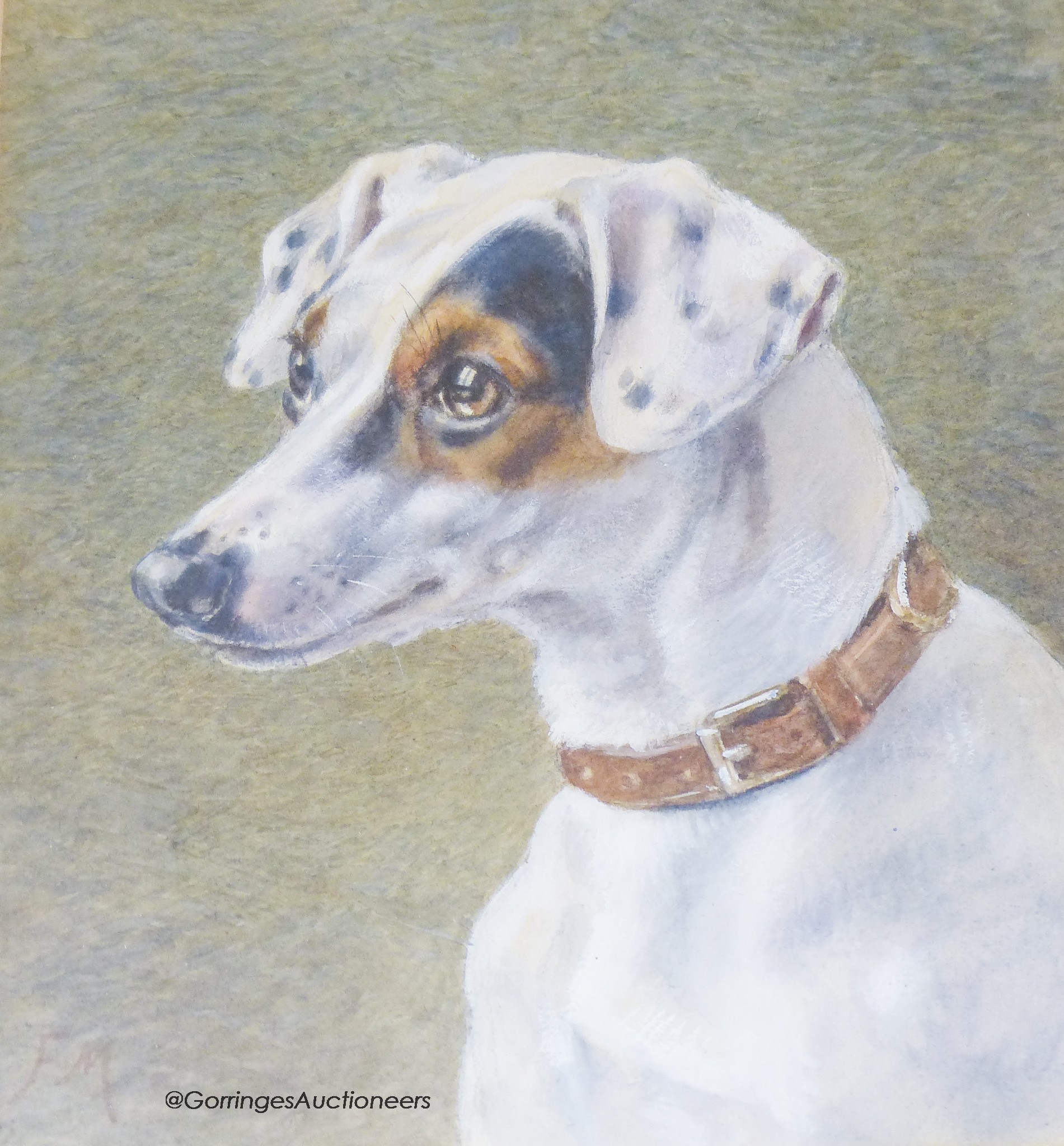 Fannie Moody (1861-1948), watercolour, Jack Russell, 27. 5 x 22.5 cm